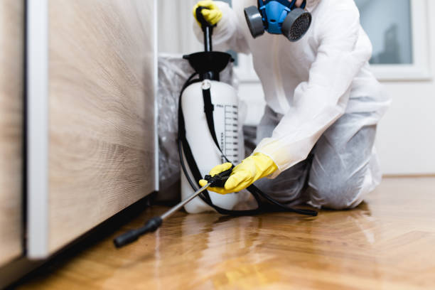 Best Best Pest Control Companies  in Kingsland, GA