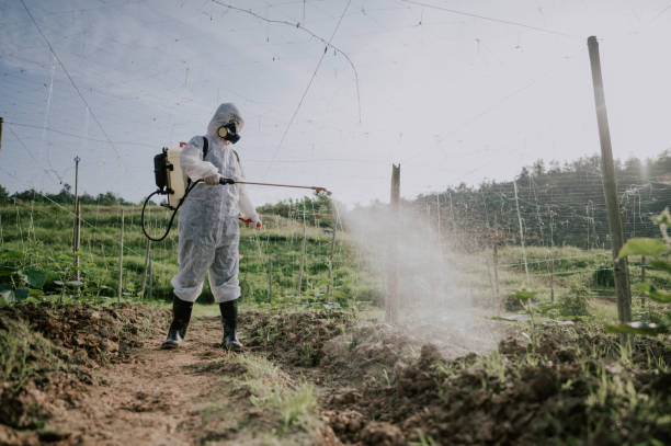 Best Mosquito Control Services  in Kingsland, GA