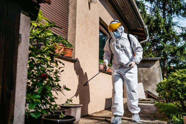 Best Affordable Pest Control Services  in Kingsland, GA