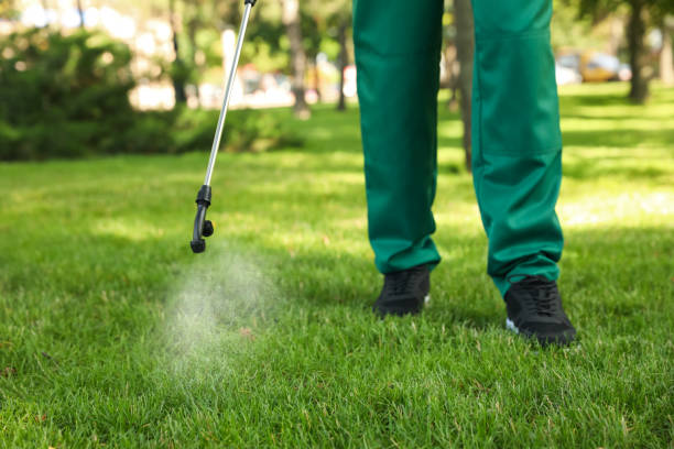 Best Pest Inspection Near Me  in Kingsland, GA