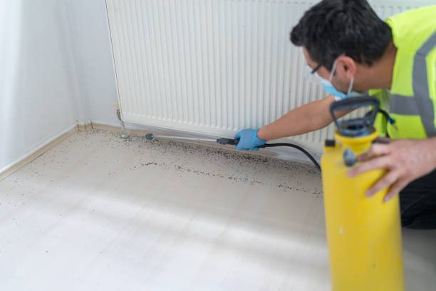 Best Commercial Pest Control Services  in Kingsland, GA
